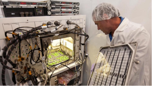 从&ldquo;异星实验室&rdquo;到&ldquo;进化加速器&rdquo;，太空生物研究为农业变革提供全新可能